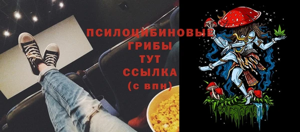 прущие грибы Нефтегорск