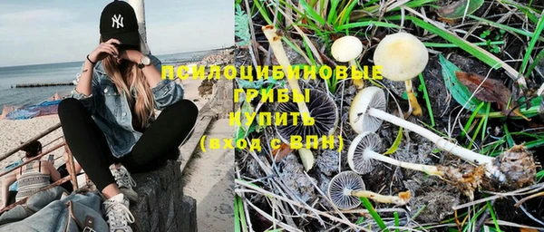 PSILOCYBIN Нея