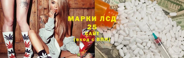 PSILOCYBIN Нея