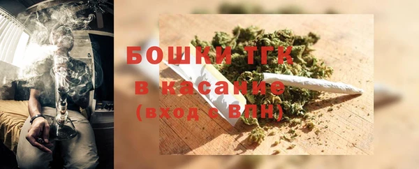 прущие грибы Нефтегорск
