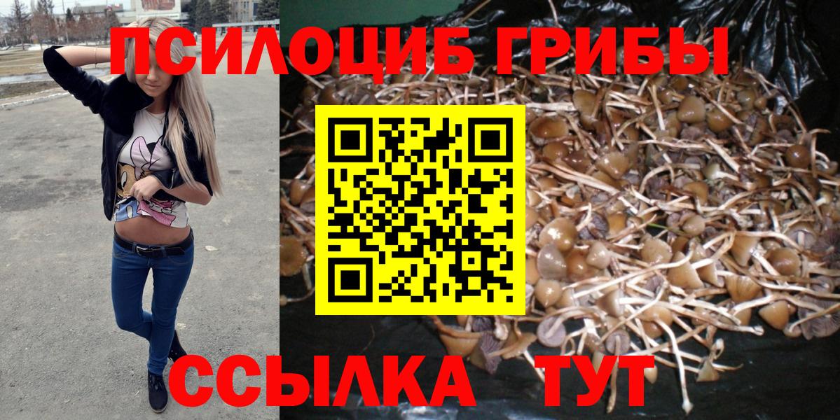 Псилоцибиновые грибы GOLDEN TEACHER Семилуки